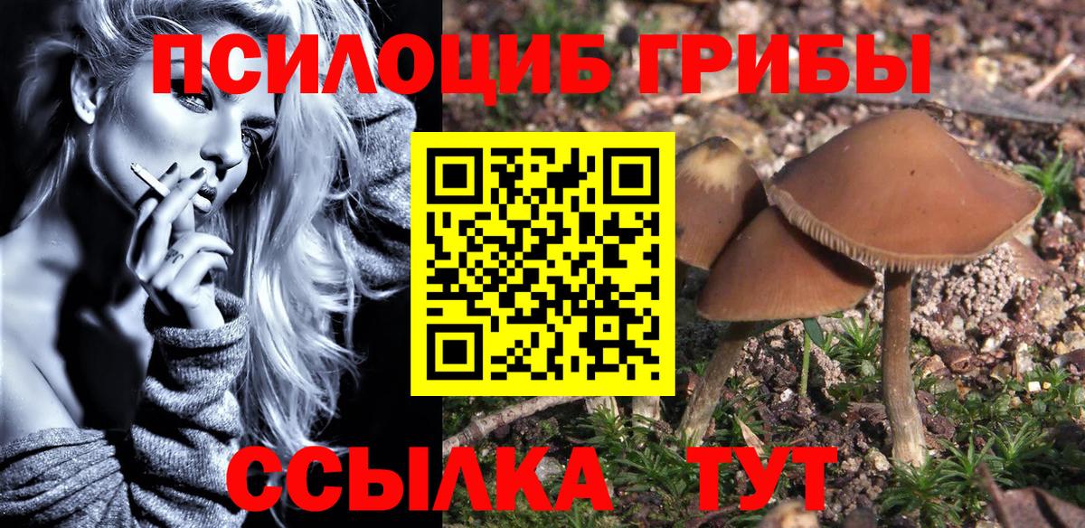 наркота  Вход с VPN  Кисловодск  Галлюциногенные грибы ЛСД 