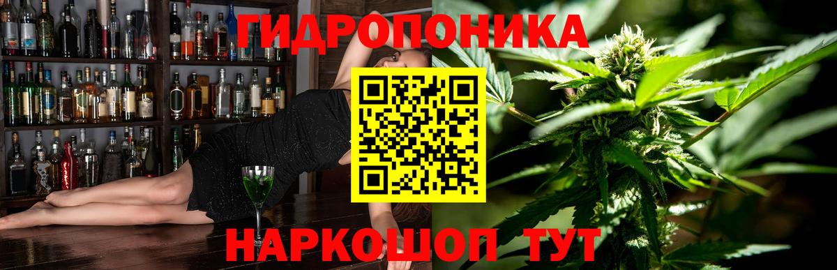 Марихуана сатива  Вход с VPN  Кисловодск  МАРИХУАНА план  Каннабис планчик 